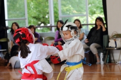 07-18-2015_Fukuoka Karate_0163