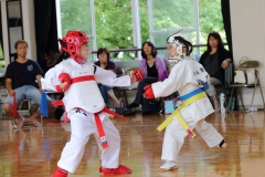 07-18-2015_Fukuoka Karate_0165