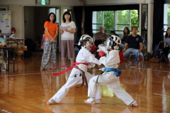 07-18-2015_Fukuoka Karate_0213